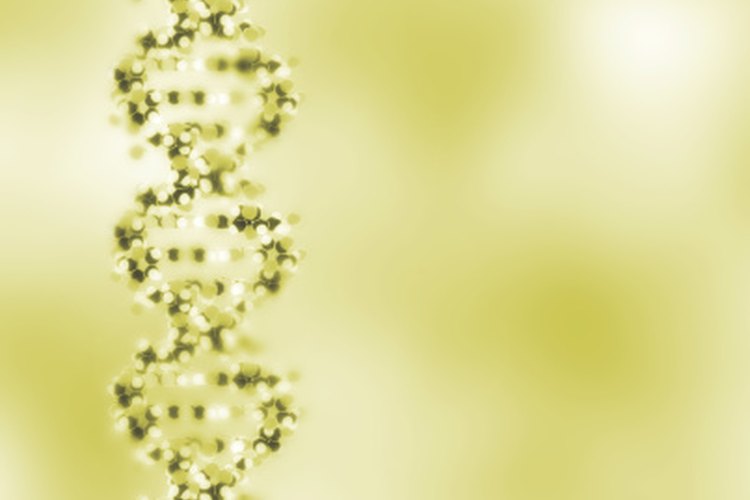 Tu ADN puede influenciar en qué medida el brócoli te protege de ciertos tipos de cáncer.