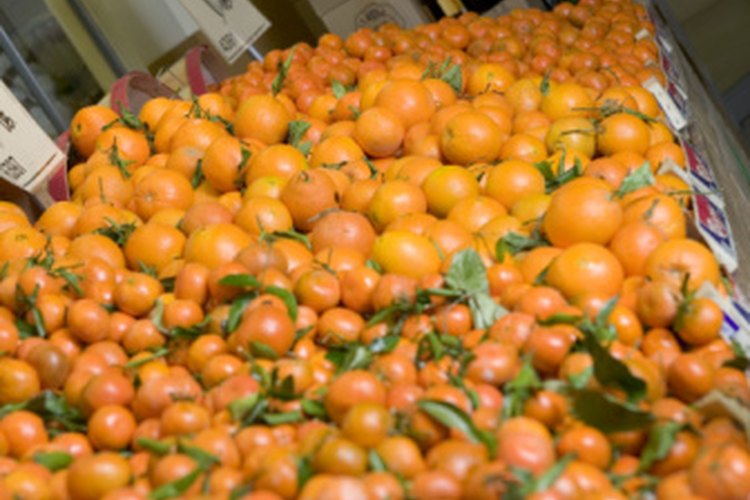 Los cítricos son una buena fuente de vitamina C.