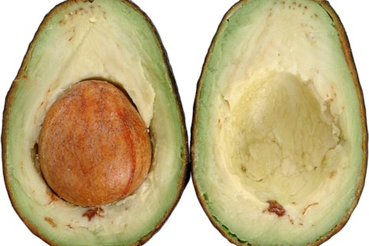 Elige aguacates maduros para congelarlos.