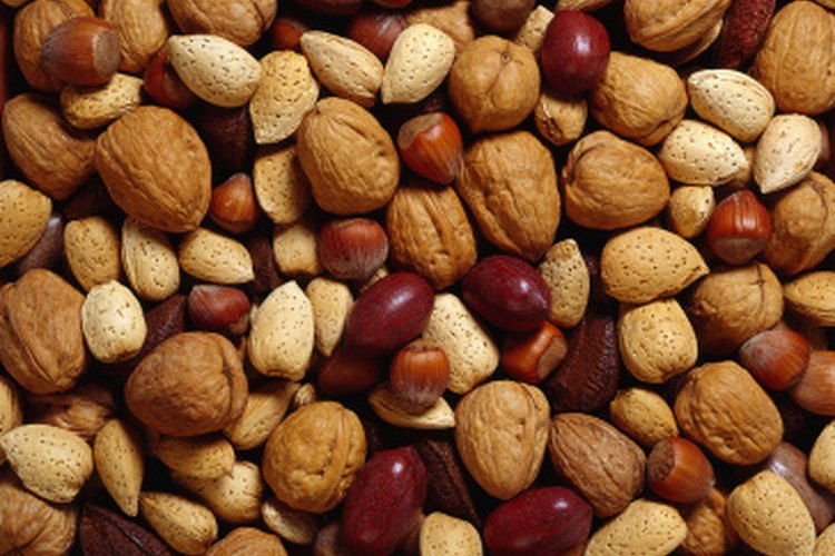 Tanto las avellanas como las nueces de macadamia son parte de la familia de las nueces de árbol.