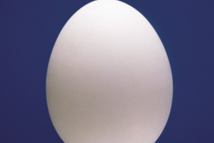 Los huevos son una buena fuente de proteínas.