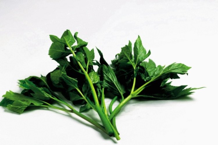 Las verduras de hoja verde son buena fuente natural de folato.