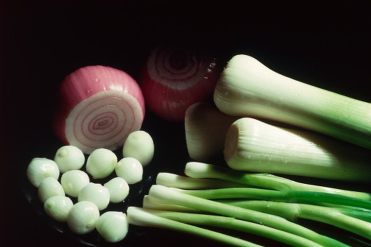 Las diferentes variedades de cebollas tienen concentraciones similares de nutrientes.
