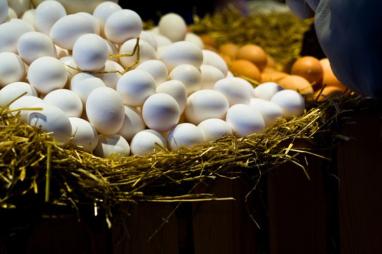 Las cáscaras de los huevos proporcionan beneficios medicinales como el fortalecimiento de las articulaciones.