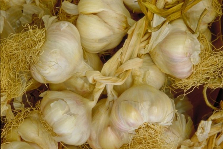 Las propiedades antihongos del ajo crudo lo hacen útil para tratar la candidiasis.