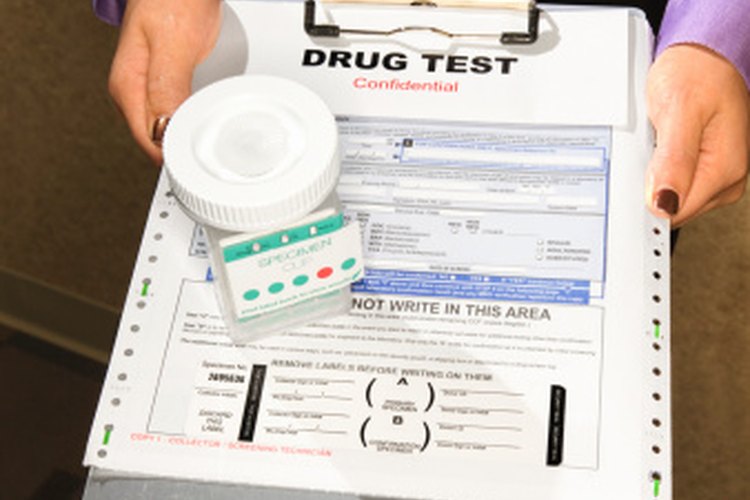 What Are The Causes Of A False Positive Drug Test Leaftv