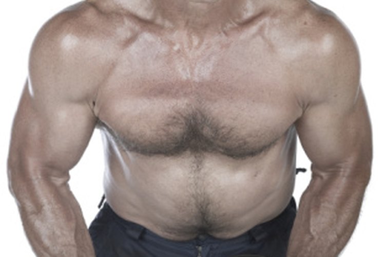 Las aperturas con mancuernas y los press desarrollarán los pectorales internos.