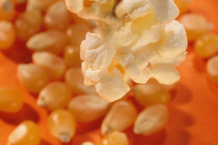 haz tu propia variedad de palomitas de maíz en casa sin la grasa y calorías.