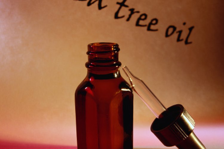 El Paul Mitchel Tea Tree Oil está compuesto por varios ingredientes naturales y aceites esenciales.