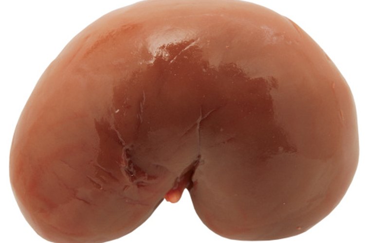 Las enfermedades del riñón pueden afectar los niveles de fósforo, potasio, sodio y proteínas en el cuerpo.
