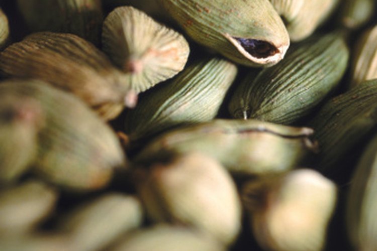 Vainas de cardamomo.