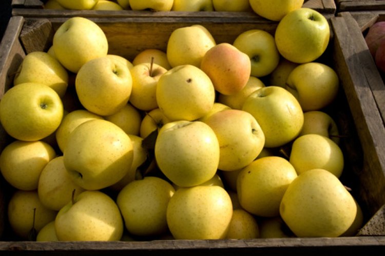 Las manzanas golden delicious recibieron altas calificaciones como una opción saludable.