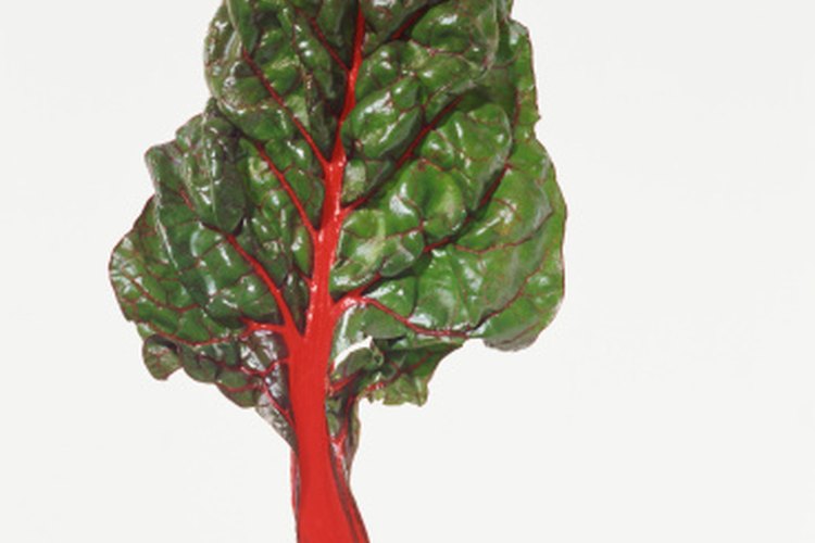 La acelga roja es naturalmente baja en colesterol y grasa.