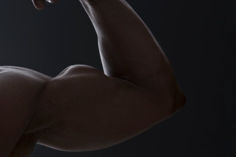 La proteína de suero hecha por Body Fortress puede ayudar al aumento muscular.