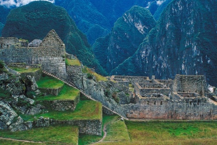 La maca se encuentra en la Cordillera de los Andes del Perú y no se sabe que crezca de forma natural en ninguna otra parte del mundo.