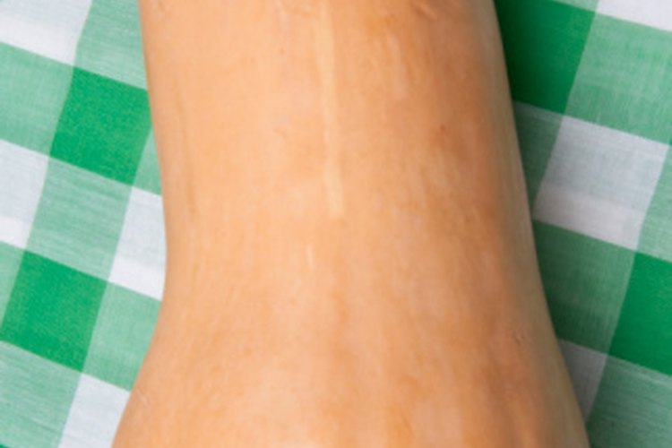 Una calabaza se cosecha a fines de otoño y comienzos de invierno.