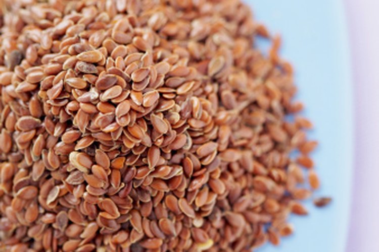 The Indian Names for Flax Seeds | LEAFtv