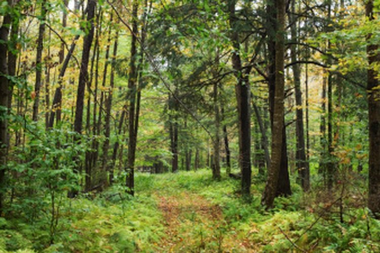Thinkstock/Comstock/Getty Images Find a secluded area.