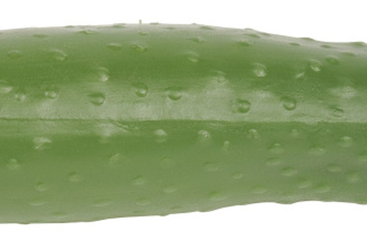 Los pepinos so están específicamente restringidos de una dieta para ERGE.