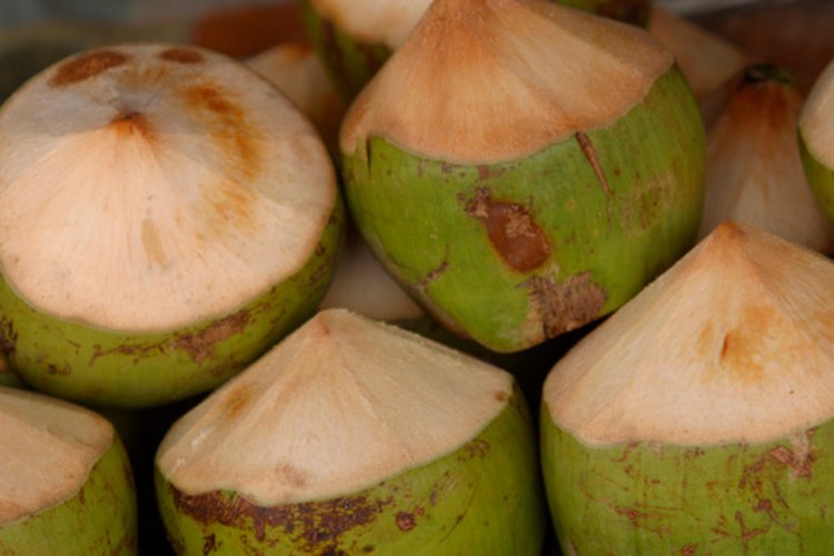 La lúcuma se utiliza para dar sabores a helados en Europa y Sur Africa.