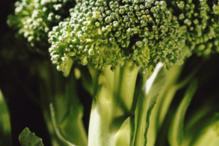 El brócoli es miembro de la familia vegetal crucífera.