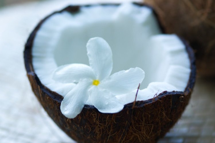 Las culturas polinesias creen que el aceite de coco puede curar todas las enfermedades.