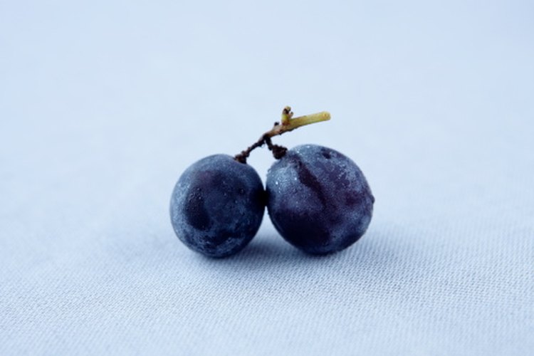 Si las uvas te causan malestar abdominal, puede que tengas intolerancia a la fructosa.