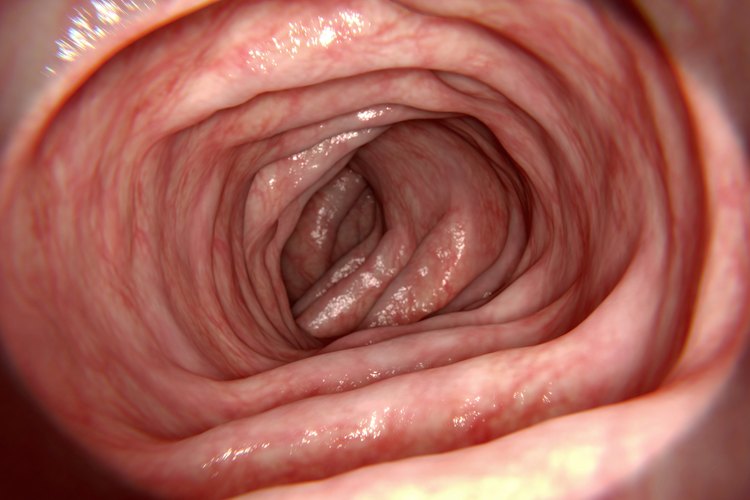 Colonoscopia