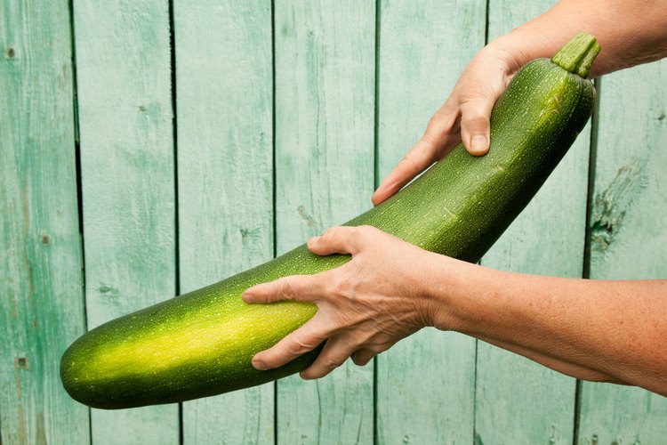 What to Do With an Extra Large Zucchini? | LEAFtv