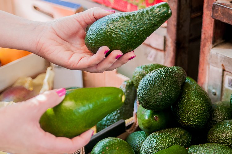 your-go-to-guide-for-buying-an-avocado-leaftv