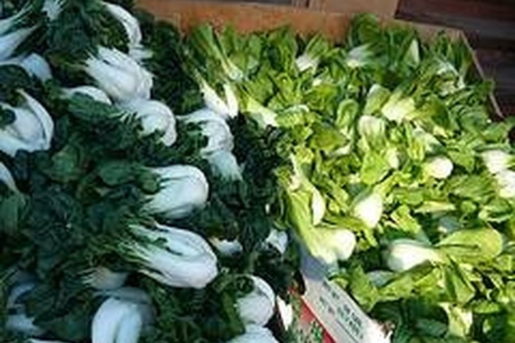 How to Store Bok Choy | LEAFtv