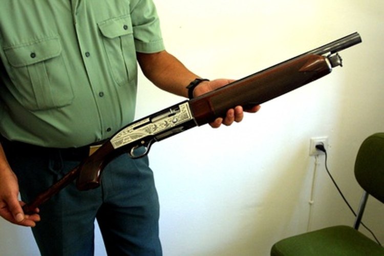 cdtirot5 image by Paco Ayala from Fotolia.com The Blue Book covers many gun values.