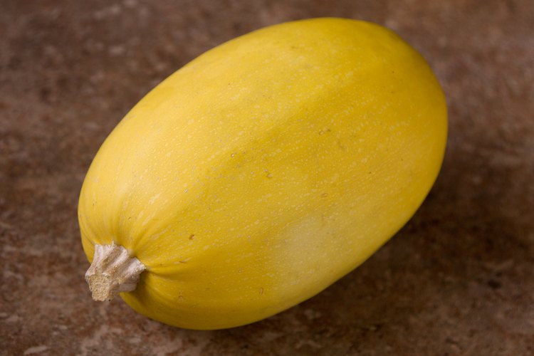 How to Tell When Spaghetti Squash Goes Bad | LEAFtv