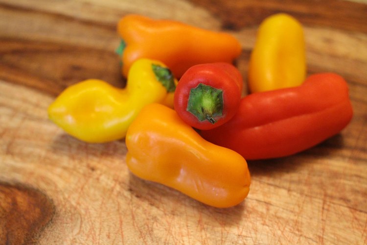 How many peppers. Перец мини сладкий. Перец Свит мини оранж.