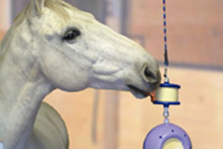 Juguetes para caballos.