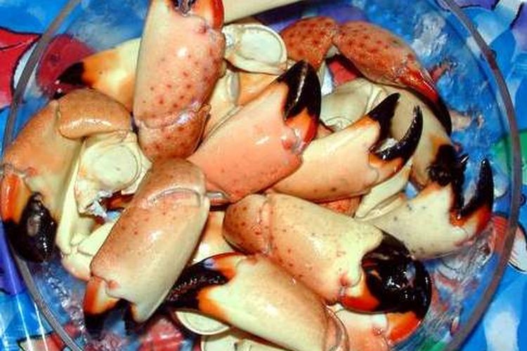 Saber cómo cocinar las pinzas de cangrejo de piedra es la clave para elaborar una gran comida.