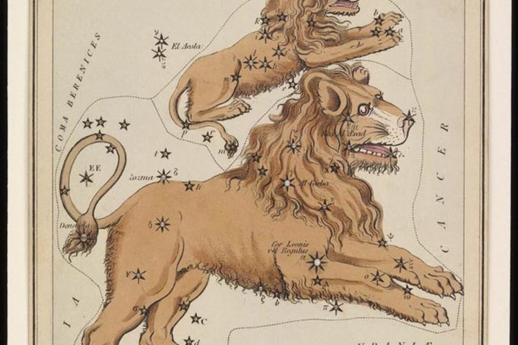 La persona de leo es bulliciosa, amante de la diversión y de buen corazón.