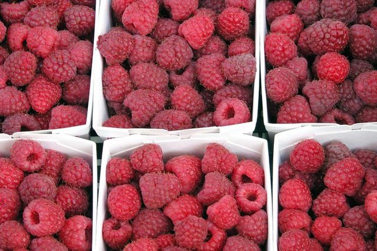 Las frambuesas son ricas en vitaminas y minerales.
