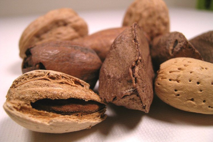 Deliciosas nueces de brasil.