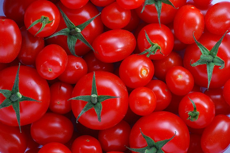 Los tomates frescos y maduros son los mejores para hacer jugo.