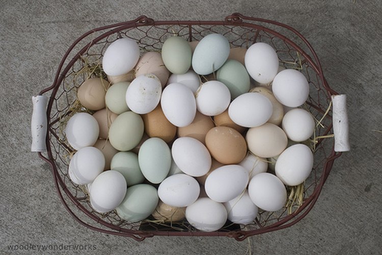 Huevos duros.