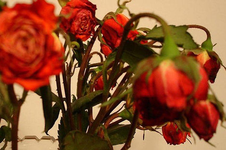 Los romances extramaritales pueden provocar a la otra mujer un daño emocional.