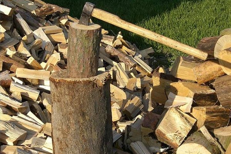 Corta los árboles caídos en rodajas del tamaño adecuado para las chimeneas.