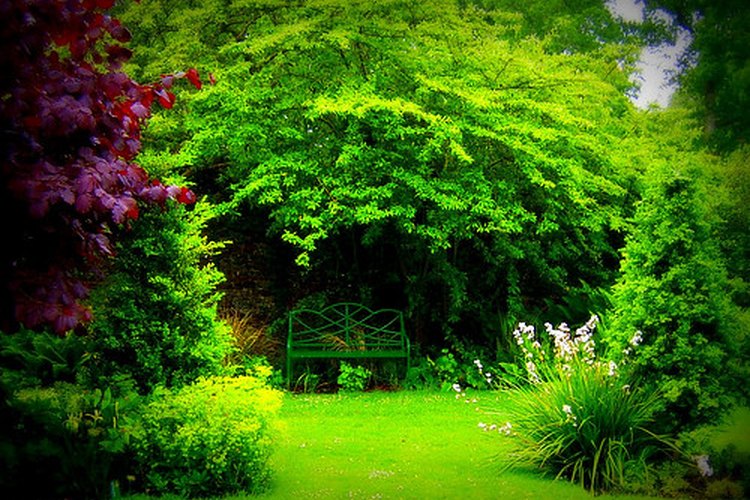 Un banco de jardín de hierro que recuerda el estilo victoriano.