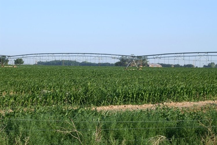 El campo de la agricultura incluye una variedad de puestos de trabajo.