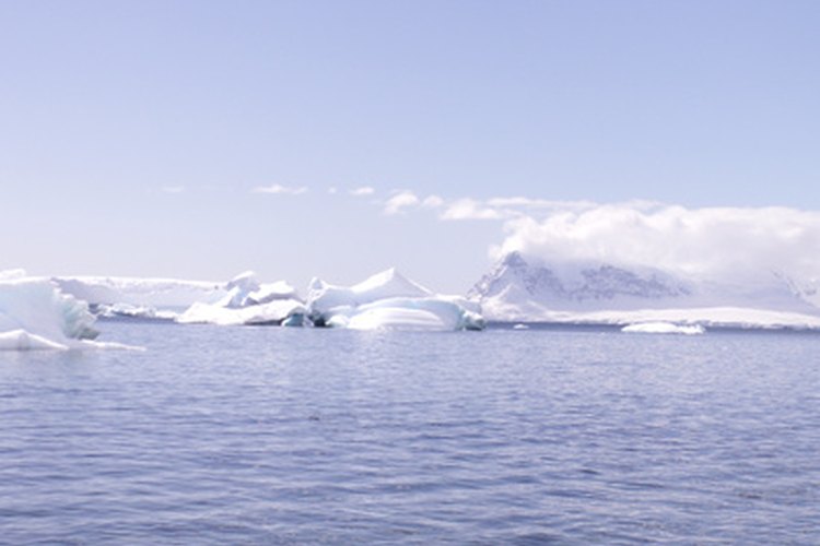 Los lobos marinos viven cerca de las costas de muchas islas sub-antárticas.
