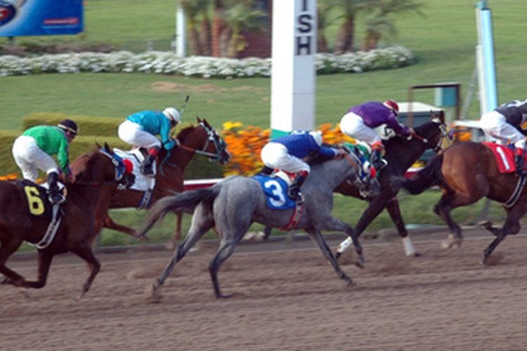 Un caballo bueno y bien entrenado equivale a un gran final.