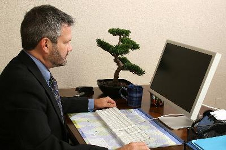 Muchos programas de licenciatura en matemáticas también requerirán algo de trabajo sobre cursos básicos de informática.