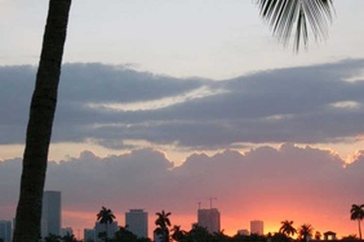 Hay muchas actividades que las parejas pueden hacer en la romántica ciudad de Miami, Florida.