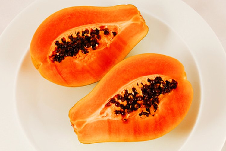 Extracto de papaya.